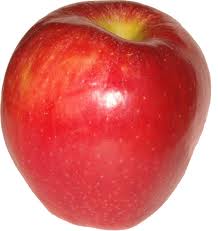 biopsia prostata peru inicio