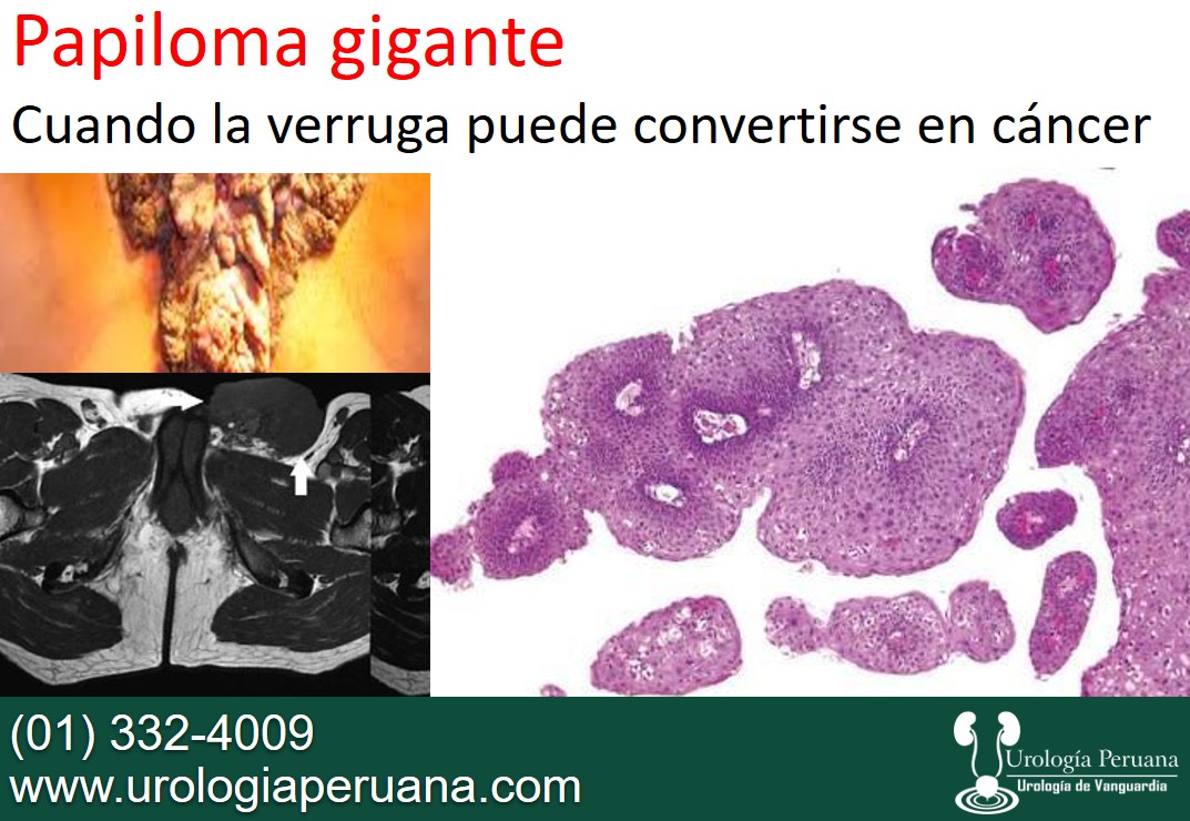 ScreenHunter_191 Dec. 27 12.38.jpg