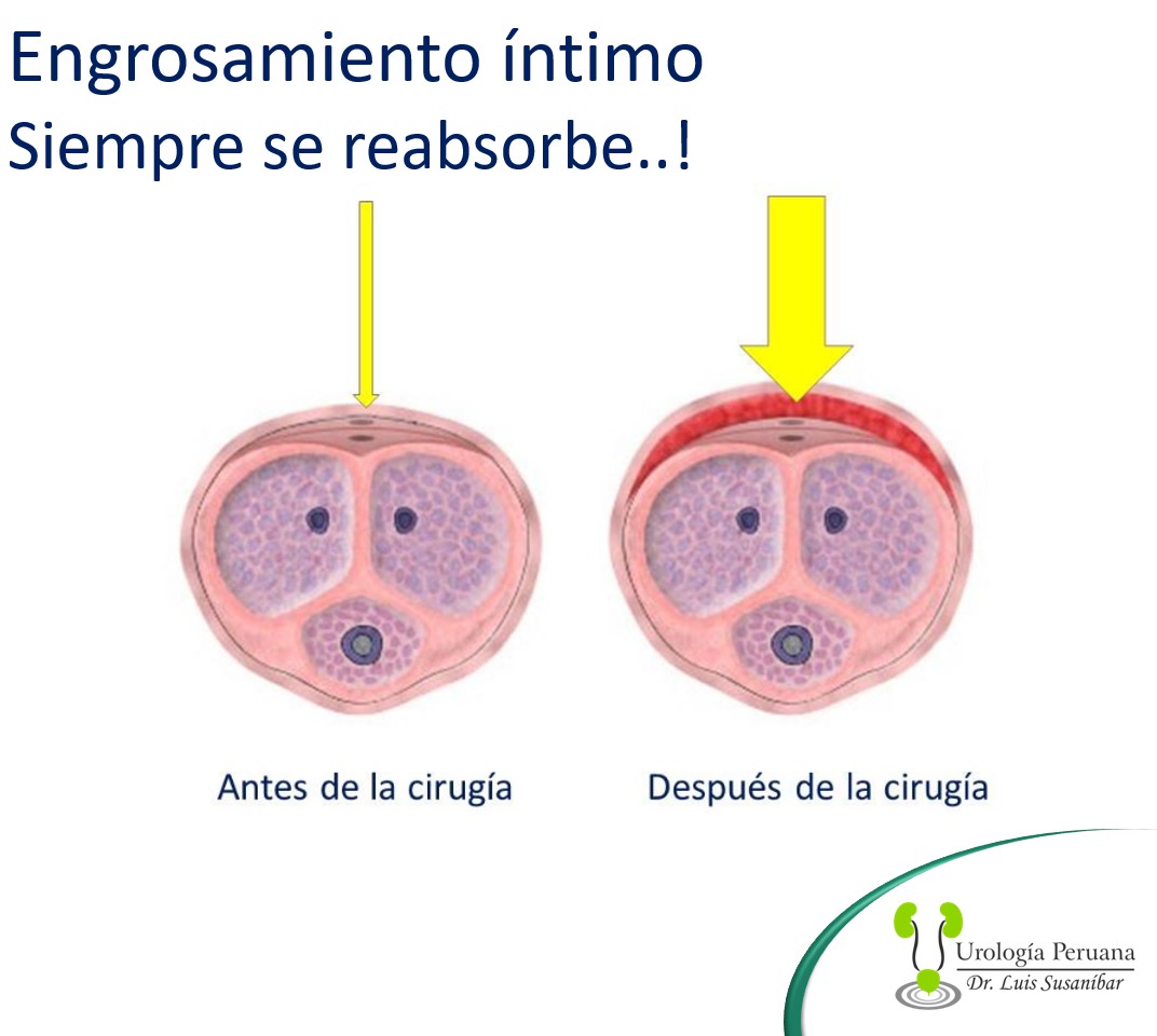 ScreenHunter_268 Aug. 04 11.07.jpg