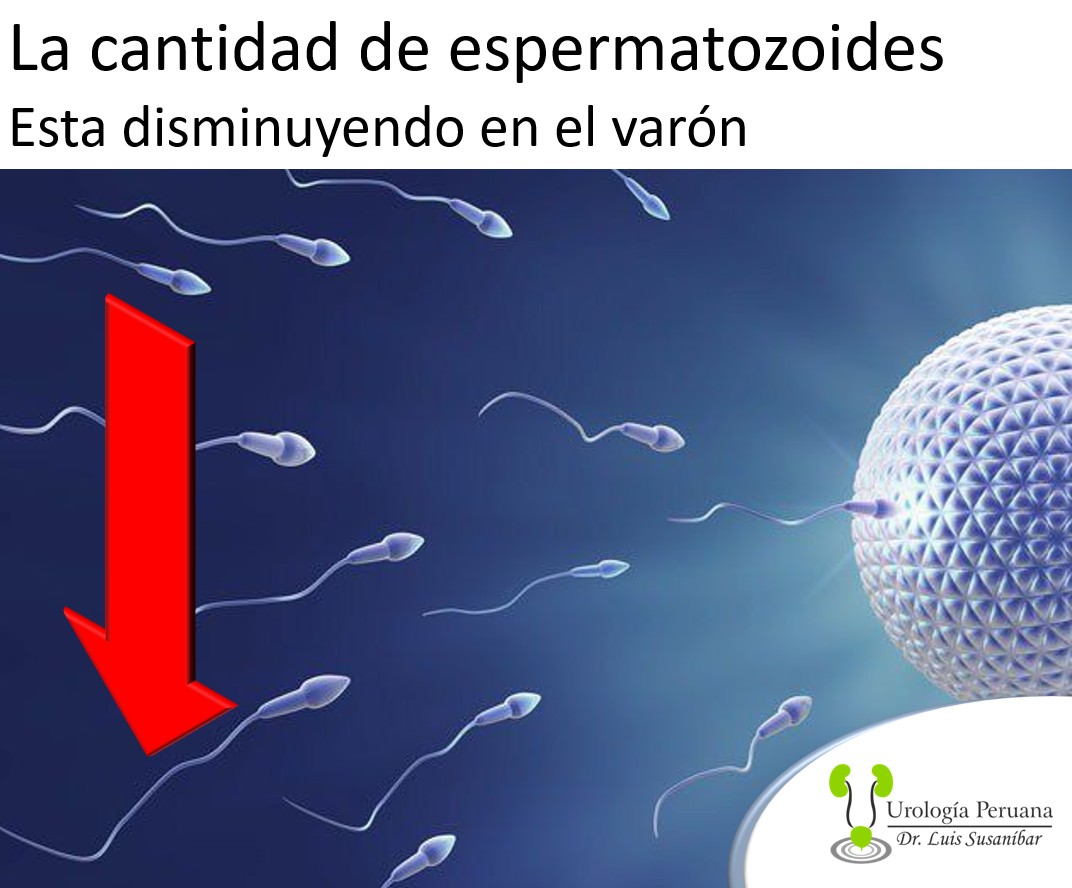 ScreenHunter_269 Aug. 04 11.44.jpg