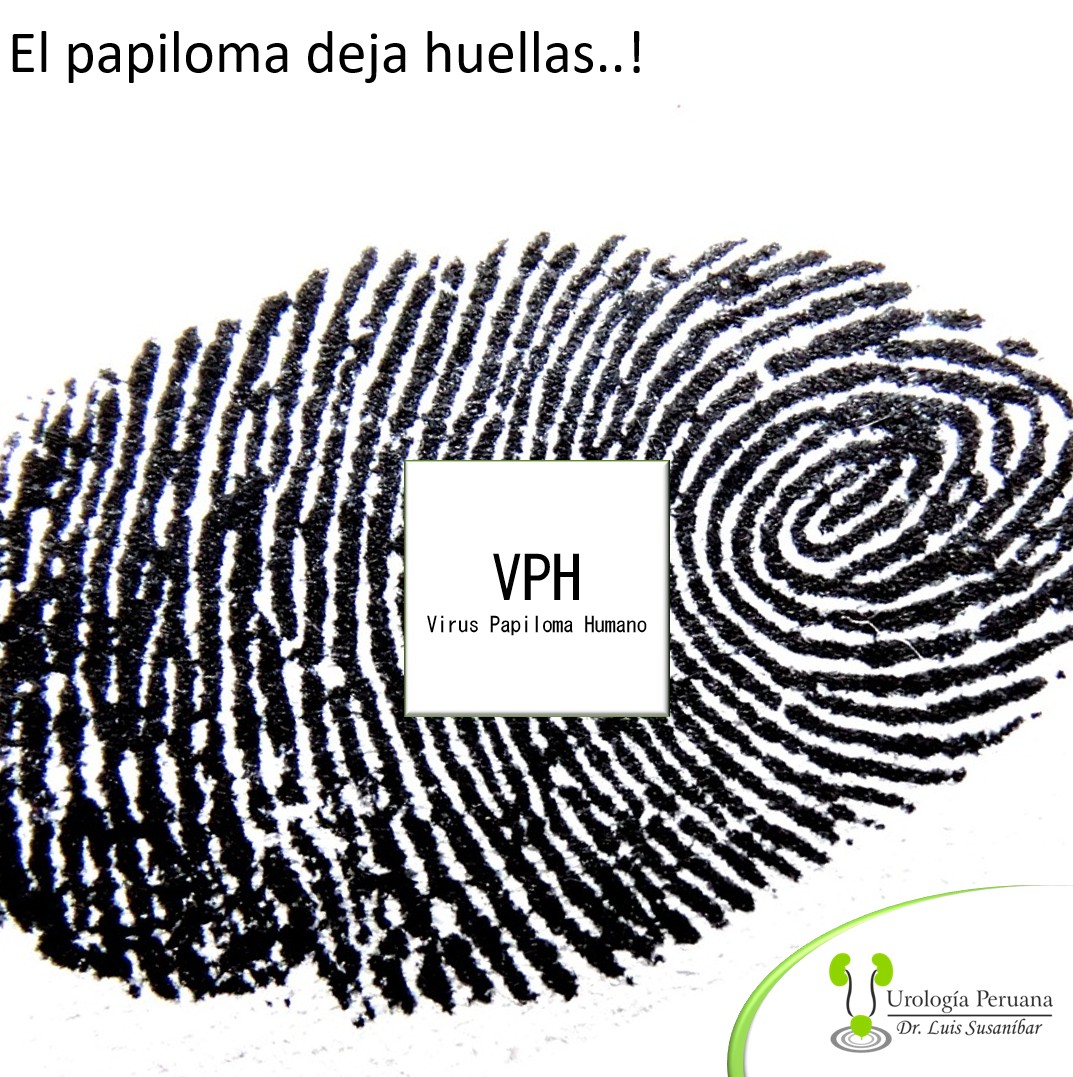 ScreenHunter_395 Aug. 29 13.55.jpg