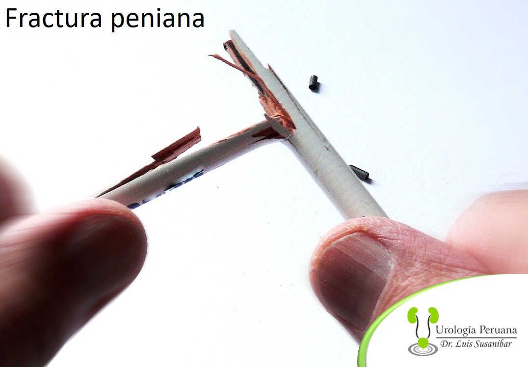 ScreenHunter_440 Sep. 11 16.19.jpg