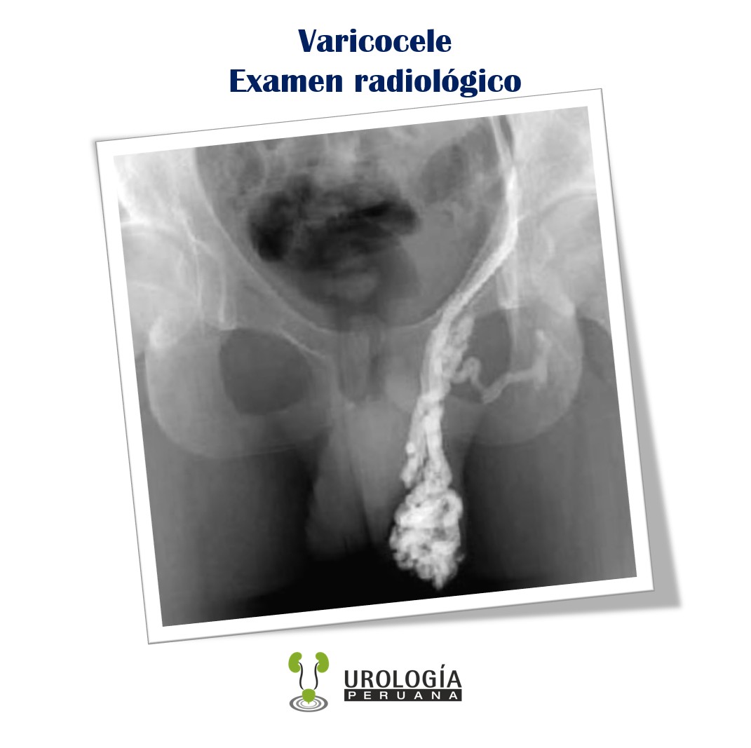 ScreenHunter_2162 Jun. 24 10.21.jpg