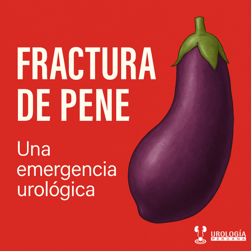 Fractura de pene: causas, signos de alarma y opciones de&nbsp;tratamiento