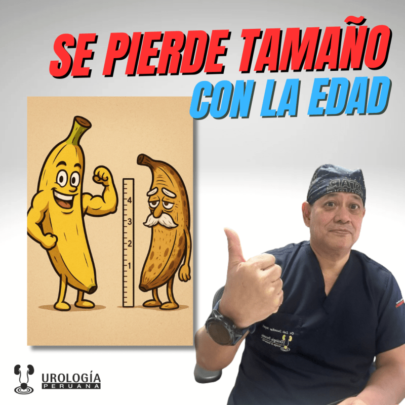 ¿Disminuye el tamaño del pene con la edad o tras una&nbsp;cirugía?