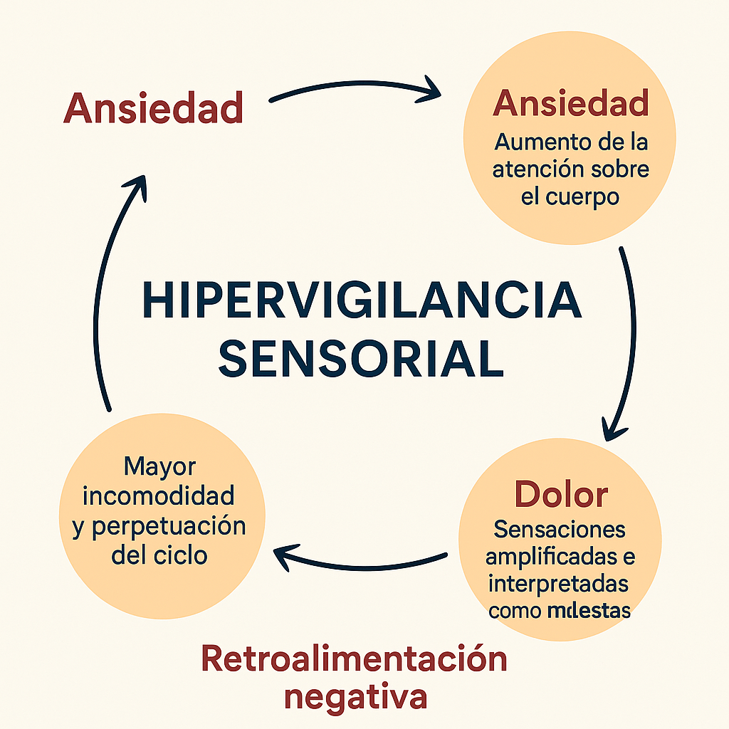 La fijación que tienen los pacientes, la hipervigilancia sensorial en urología: bases y&nbsp;tratamiento