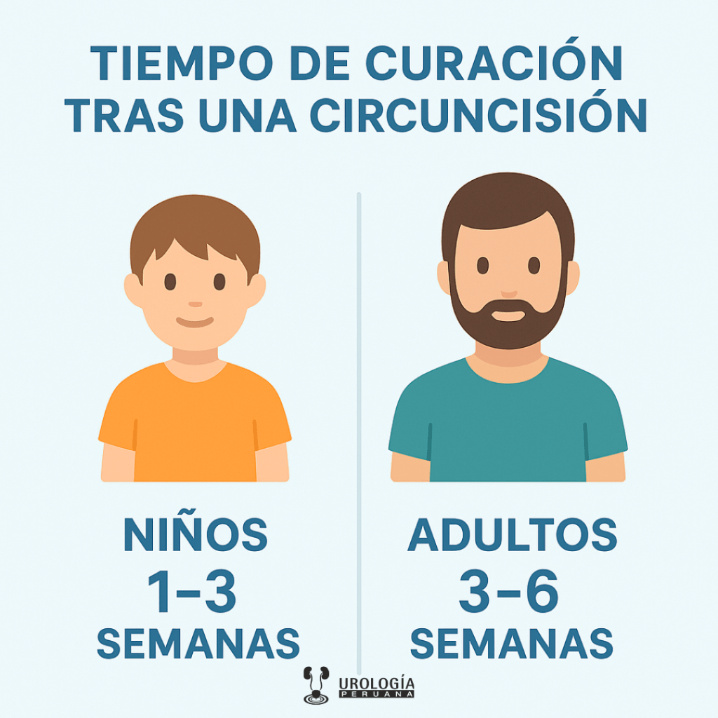 Tiempo de curación tras una&nbsp;circuncisión