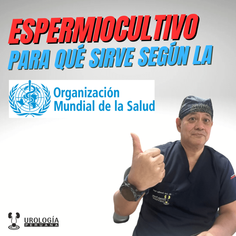 Utilidad del espermocultivo según la&nbsp;OMS