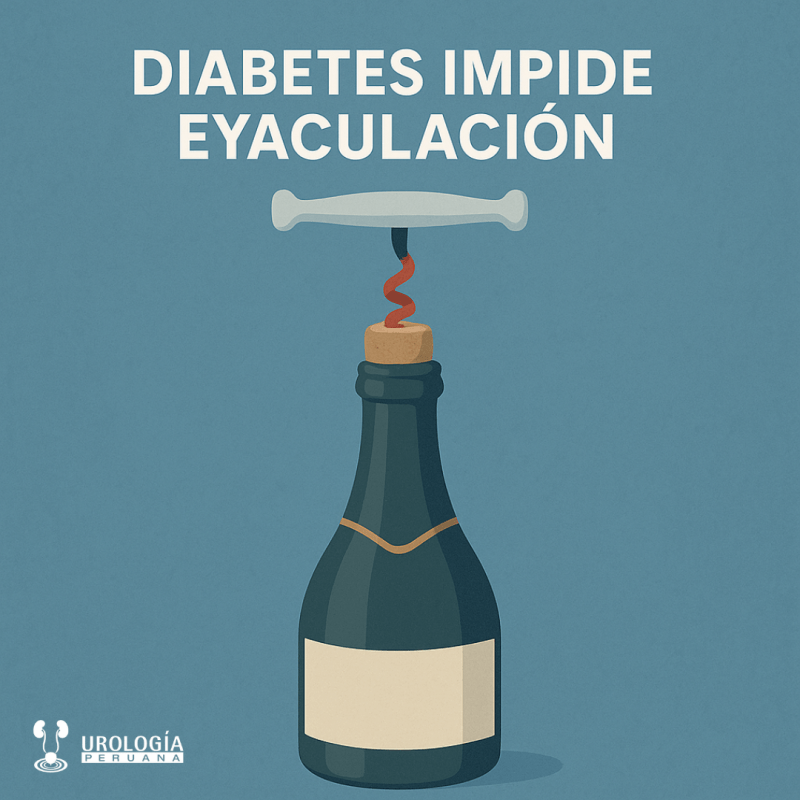 ¿Cómo afecta la diabetes a la eyaculación en los&nbsp;hombres?