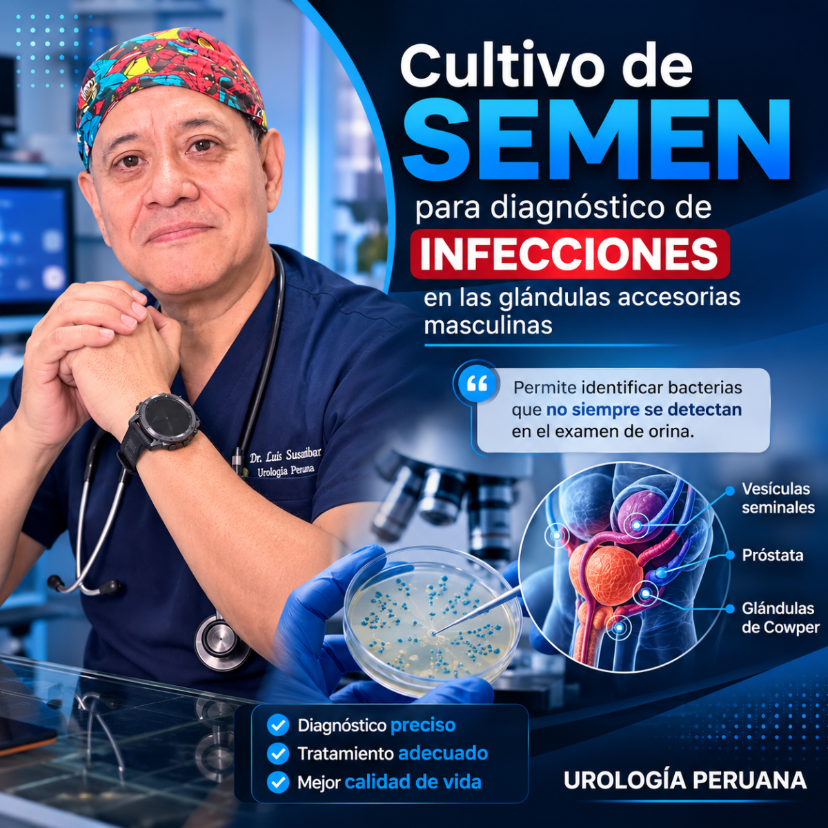 Cultivo de semen para diagnóstico de infecciones en las glándulas accesorias&nbsp;masculinas